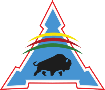 Blue triangle with buffalo and colored stripes.